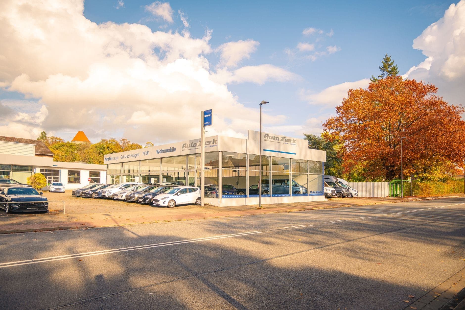 Cars parked at a dealership lot on an autumn afternoon